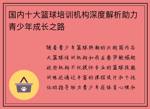 国内十大篮球培训机构深度解析助力青少年成长之路